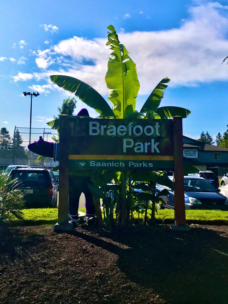 PFC_Mascot's tweet photo. Made some awesome new โฝ๏ธ friends today @LakehillSA
#Braefoot #SoccerSaturday #Soccer #SoccerAM #Saanich #YYJEvents #StewieTheStarfish #SoccerCamp #PacificFC #SoccerTournament #EPIC #YYJSoccer #EatSleepSoccer #TrustTheKids https://t.co/ZYPtvsH6ww