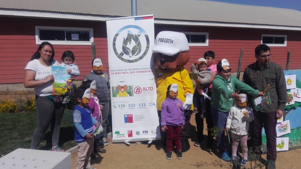 CONAF - Corporación Nacional Forestal tweet media