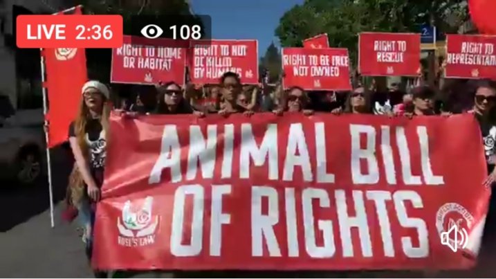 DxEverywhere's tweet image. LIVE: Hundreds are DISRUPTING Berkeley with sit-ins, die-ins, and smoke flares to demand an Animal Bill of Rights.
#ALCC2019 #RosesLaw @SupportRosesLaw

Watch here:
facebook.com/directactionev…
