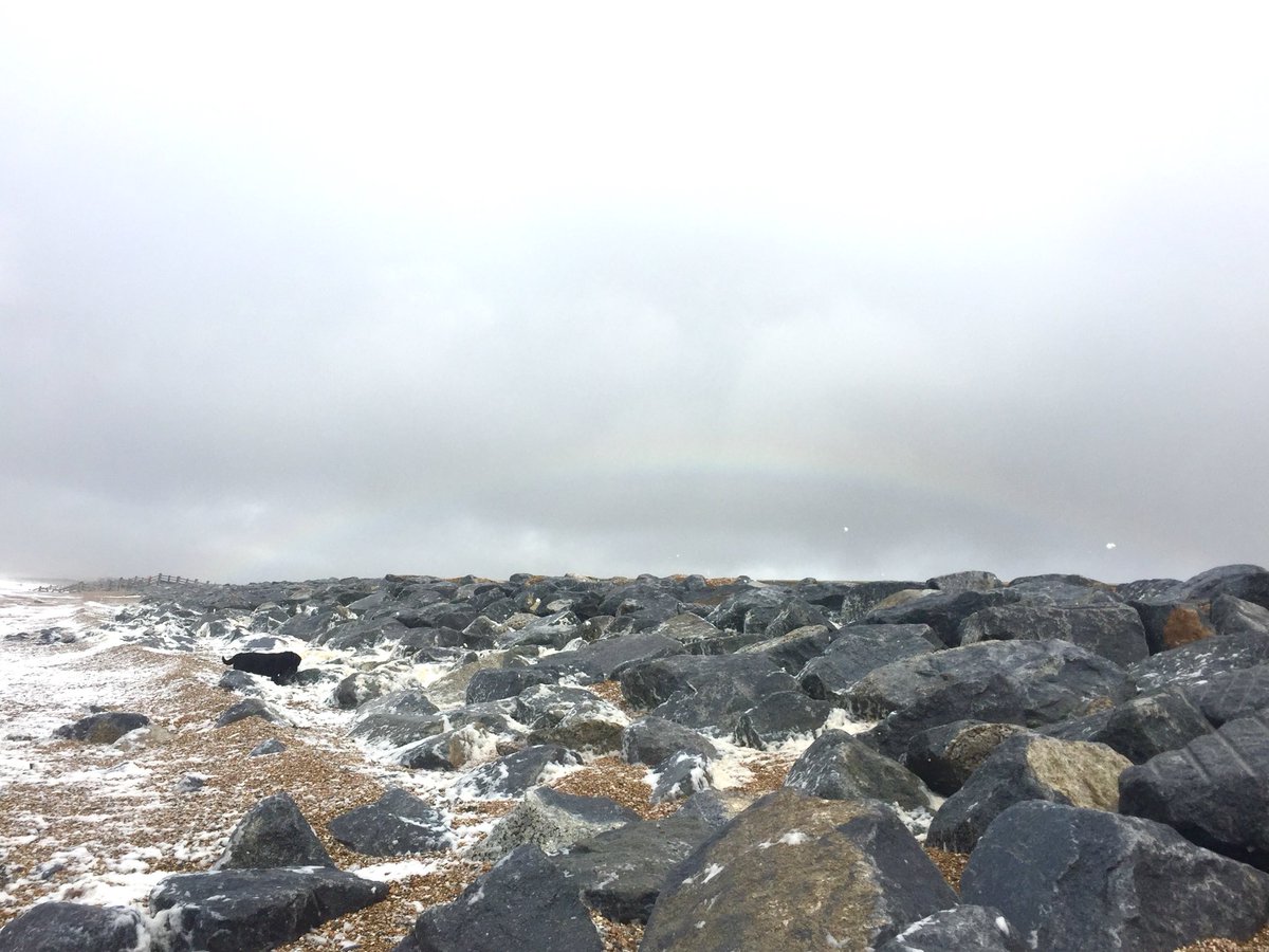 DogStarHub's tweet photo. Rainbow #beachlife #dogwalker https://t.co/omqEJU5zWu