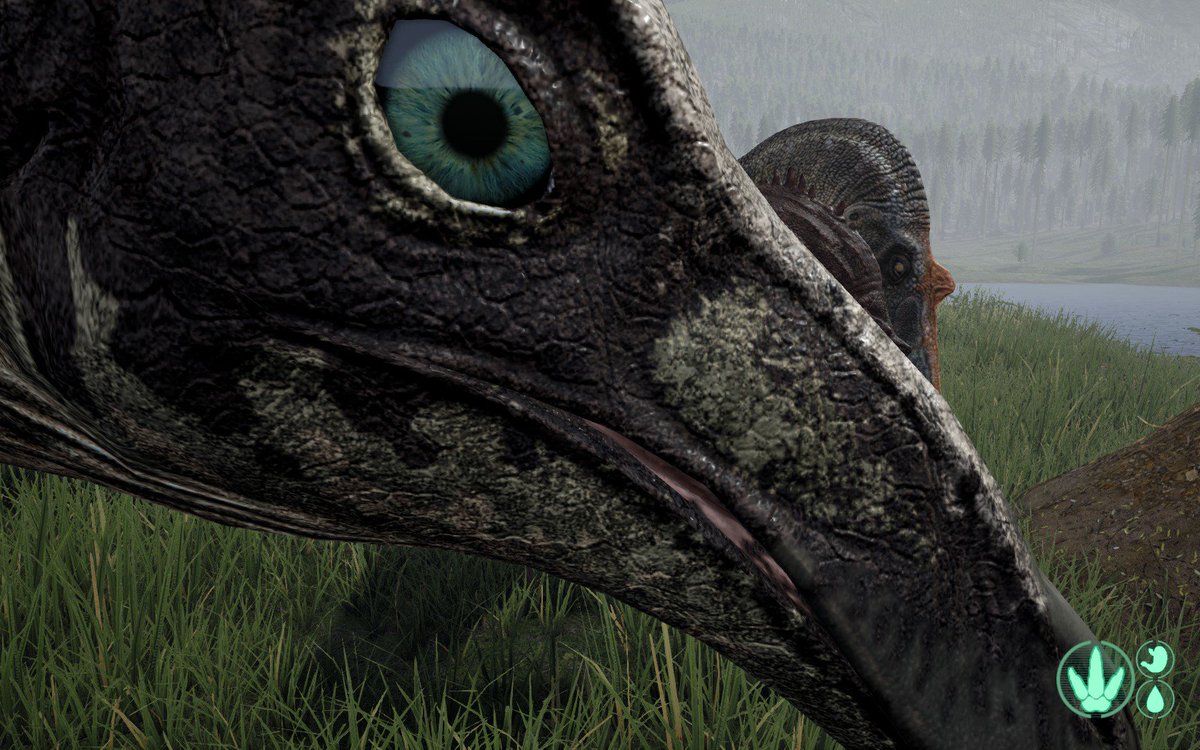 Gallimimus close up. 

   Look at the detail on the eyes ♥️ Beautiful colour.