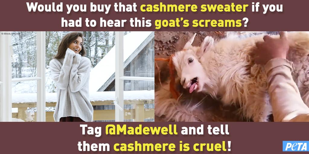 Goats used for cashmere scream in pain and fear as their hair is ripped out from their bodies.

<a href="/Madewell/">Madewell</a> needs to stop supporting this cruel business. peta.vg/2ln0
