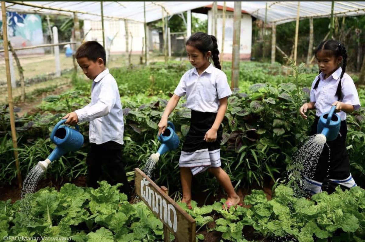 Moha_Firdhiye's tweet photo. if you eat you’re involved in agriculture https://t.co/BwiXRr4IIj