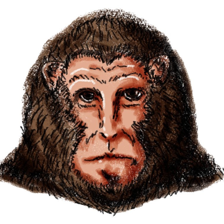 ヘルニア次郎丸 猿の書き方なら教えますよ ヘルニア次郎丸 猿の書き方なら教えますよ