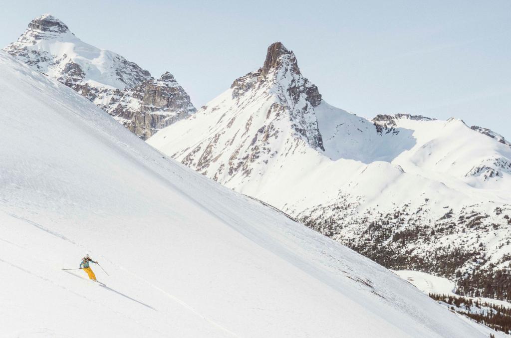 AVALANCHES: JOIN US NOV 16+17 + SAFELY TAKE YOUR WINTER MOUNTAIN ADVENTURES TO THE NEXT LEVEL! hike365.wordpress.com/2019/09/28/ast…