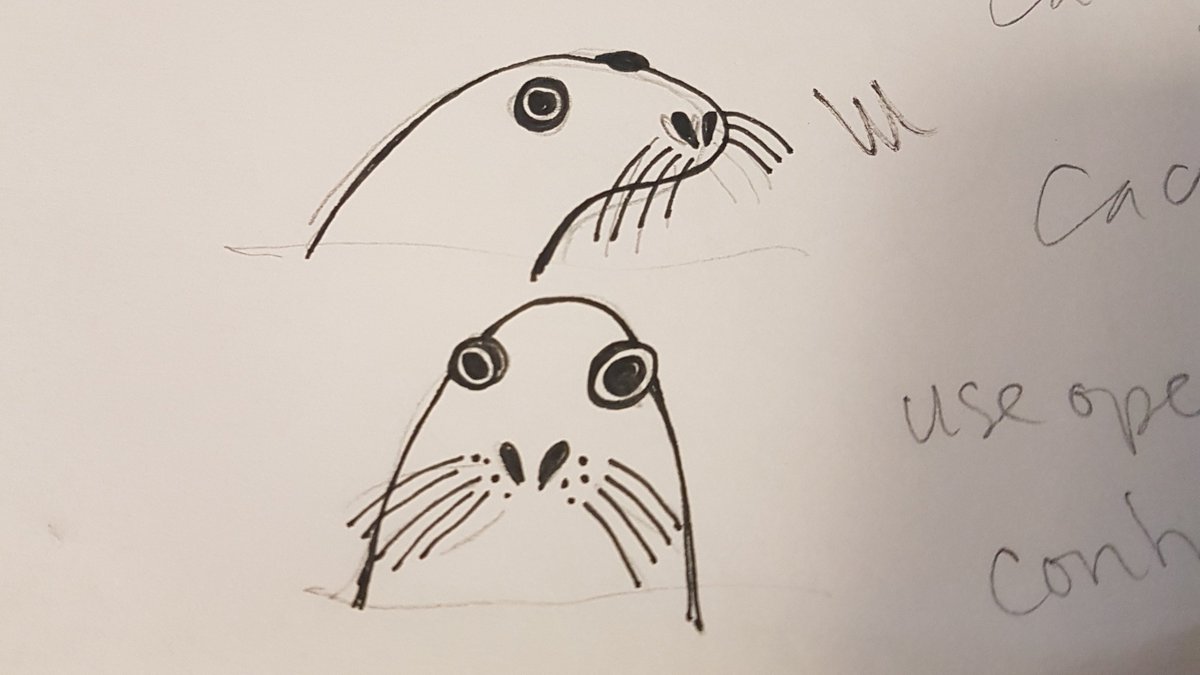 LushDesigns_'s tweet photo. Decided not to use these seal faces on a design after all, but feel a bit bad about it. I mean, look at them, all expectant and hopeful 😕 #seals #sealife #poorlittlethings https://t.co/VfTz88ElMe