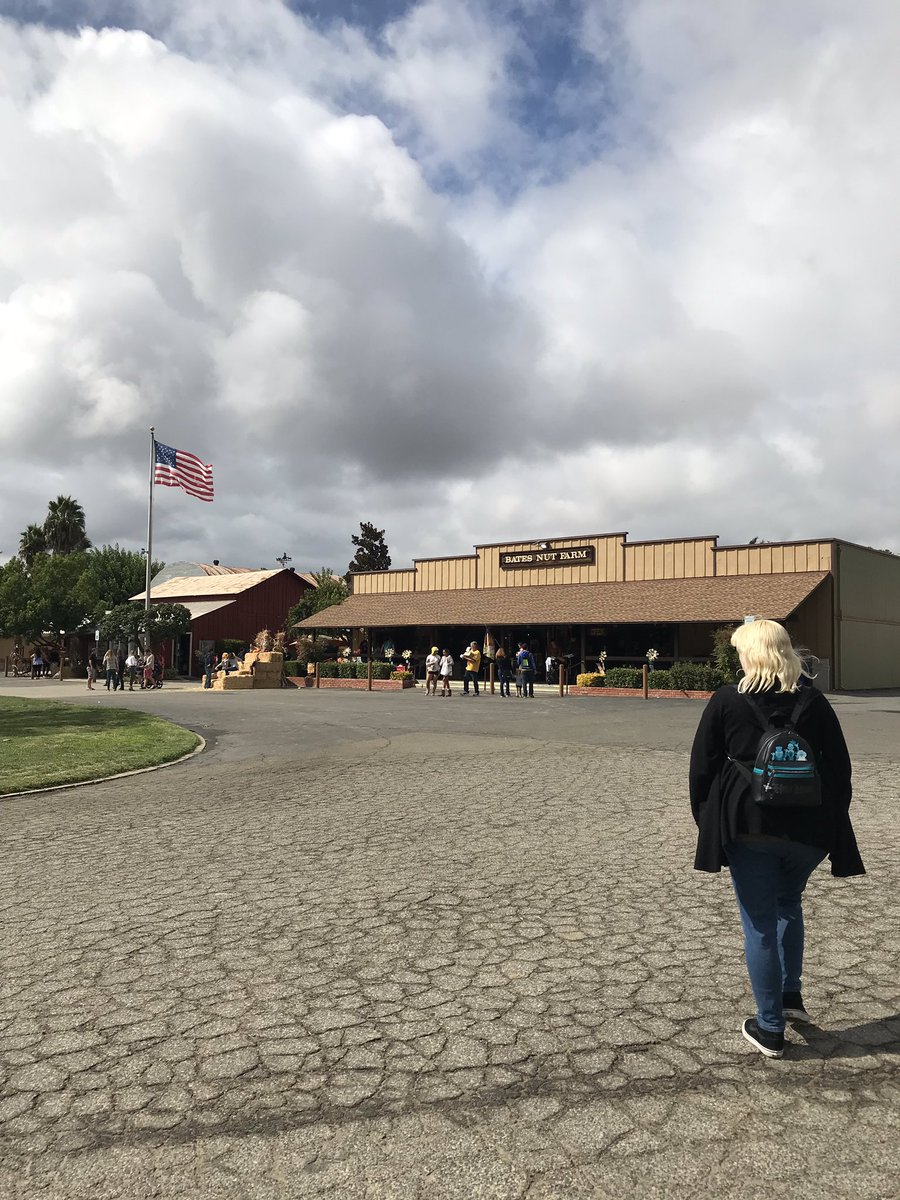 brinatello's tweet photo. Visited #BatesNutFarm today. Checked out the pumpkin π patch, general store, tried some Butterscotch Beer very similar to #ButterBeer. π https://t.co/PdLipC6Qlj