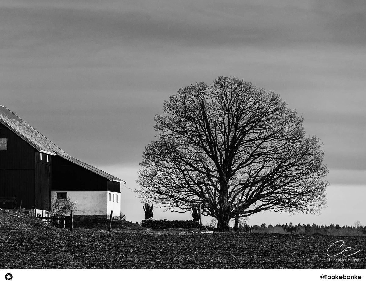 Featured_Collec's tweet image. Photography by: @Taakebanke

Tag us for a Feature:
#TheCapturedCollective

#Photography #SingleTree #Nature #BlackandWhite