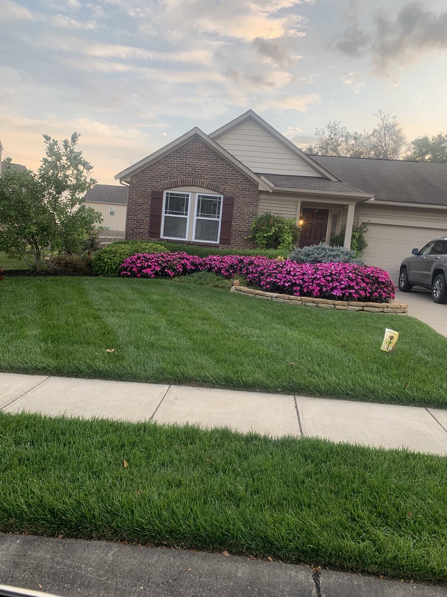 ClayHumanRoy's tweet photo. Bio 12-6-6 on the trees, shrubs, and annuals. NatureSafe 10-2-8 on the turf.  Gotta love Advanced Turfs’ Products. #foliarpak #naturesafe https://t.co/rypBP70pXx
