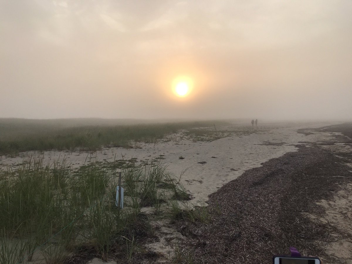 WalkNantucket's tweet photo. Sunsets through the fog with just you and your friends are gorgeous, especially out on Smith's Point. Hike and learn island natural history on Sun. evening w/Nantucket Walkabout. Book this hike at https://t.co/g5CwlfJ6CI. #smithspoint #ackcoffee #peterbrace.com #sharethispost https://t.co/jladRJqstO