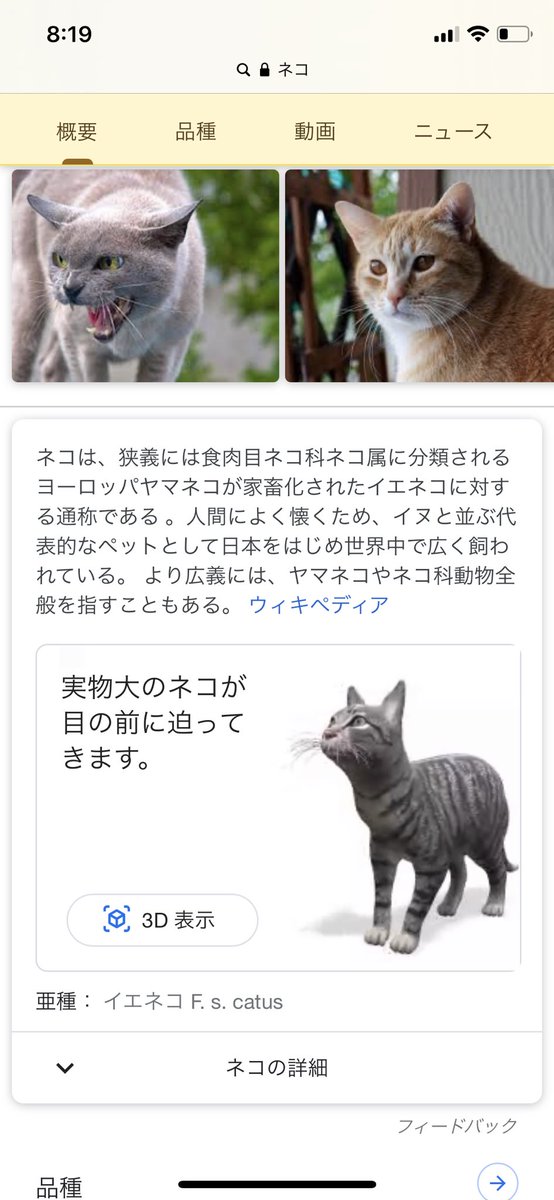 弓矢 Google検索で動物名を検索すると Arで実物大のモデルを召喚できるようになってたのね いつでもネコちゃんに仕事を 邪魔されたり 部屋にサメを乱入させたりできるぞ