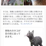 Google検索で動物名を検索すると？ARで実物大のモデルを召喚できるように!