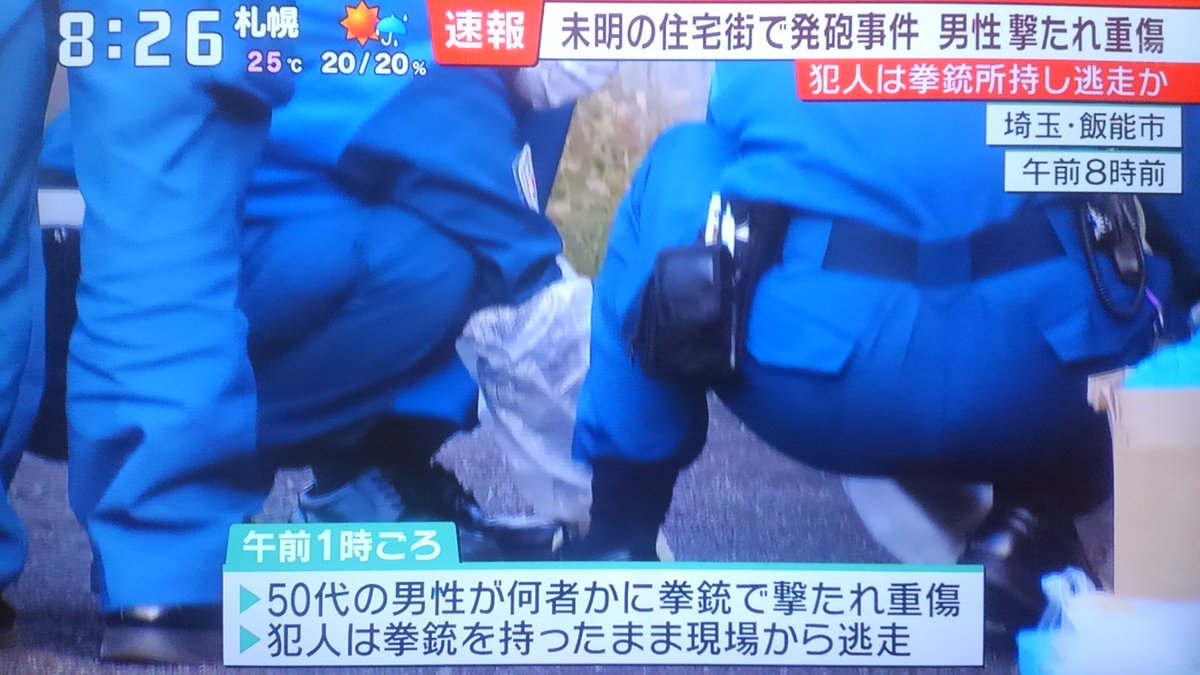 Dゆうまd 速報 埼玉県飯能市の住宅街で発砲事件がありました サンデーlive