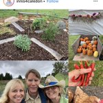 Photo by A. H. Community Farm (@AHCommunityFarm)