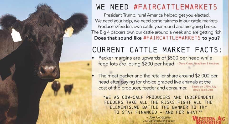 KellerCattleInc's tweet photo. #FairCattleMarkets @realDonaldTrump https://t.co/RkYLvNBeYE