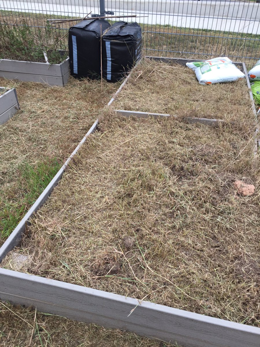 MissAppaiah's tweet photo. Before, during, and after. Check out our amazing, nutrient-rich garden beds! Ready for our 4th graders to get composting and planting next week! Thanks for the inspiring seminar this summer, @JennySeydel #happyplantlady @DiscoveryAPS @jvincent_aps @GreenSchoolsNN https://t.co/bxOhPf4vNA