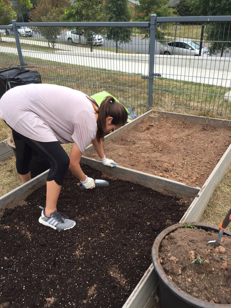 MissAppaiah's tweet photo. Before, during, and after. Check out our amazing, nutrient-rich garden beds! Ready for our 4th graders to get composting and planting next week! Thanks for the inspiring seminar this summer, @JennySeydel #happyplantlady @DiscoveryAPS @jvincent_aps @GreenSchoolsNN https://t.co/bxOhPf4vNA