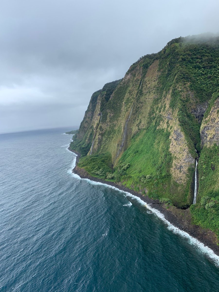 Greg Street tweet media