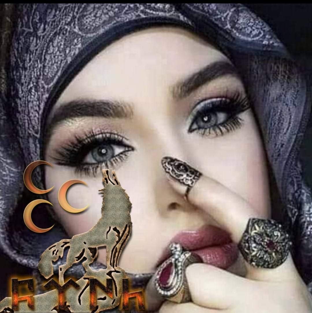 Vatan ne Türkiye'dir ne Türklere Türkistan vatan müebbet ve büyük bir ülkedir Türklere Turan