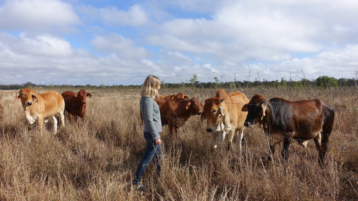 CecileGodde's tweet photo. Finally joining the Australian #Rangeland Society! Thank you very much #ARS2019 @CSIROPublishing The Rangeland Journal &amp; @AusRangeSoc for the membership. I very much look forward to the year ahead with you all! https://t.co/f0QrAPC4Vl