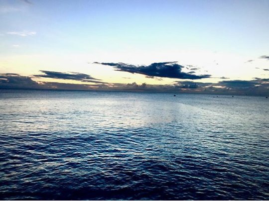 FactsBarbados's tweet photo. The relaxing views of the ocean from the beach #Barbados #urbrands #ravisheldonshankar https://t.co/9eyr5JGidu