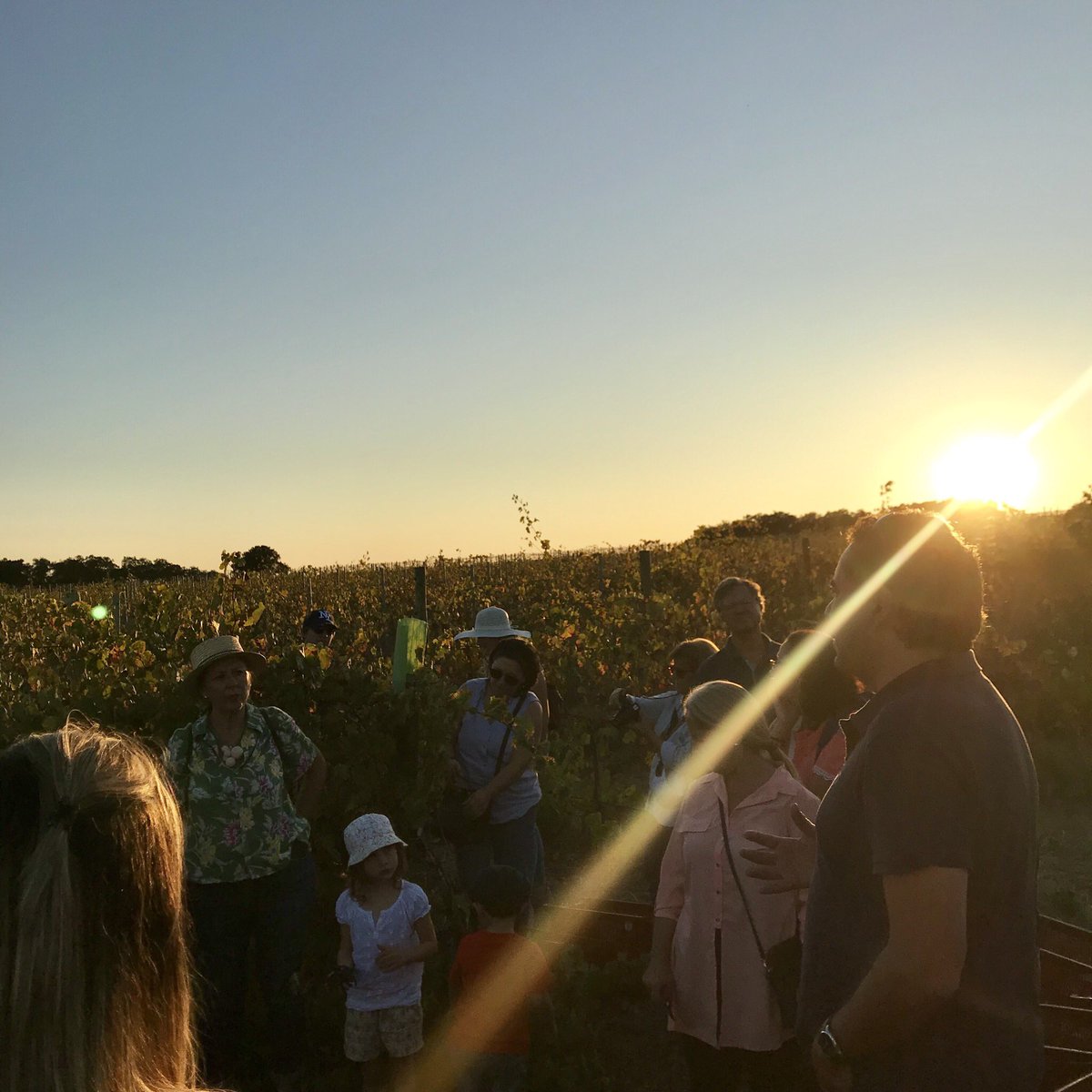 ADtiDude's tweet photo. Was soll man da noch sagen? Aus einem Arbeitstreffen wird Arbeit, die Spaß macht und Freu(n)de bringt. #international #networking #portugal #intervitis #winemaker #intervitis https://t.co/pKCbvUsZVA