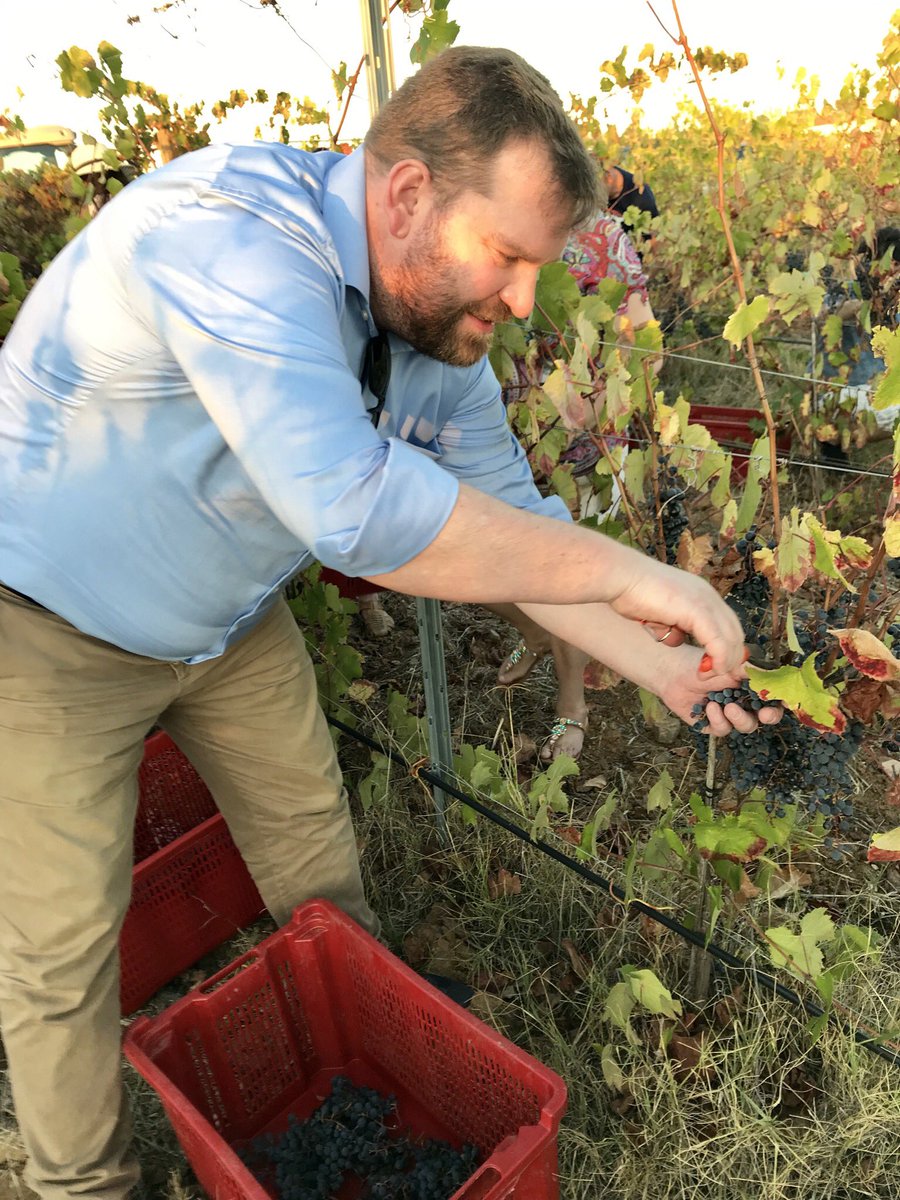 ADtiDude's tweet photo. Was soll man da noch sagen? Aus einem Arbeitstreffen wird Arbeit, die Spaß macht und Freu(n)de bringt. #international #networking #portugal #intervitis #winemaker #intervitis https://t.co/pKCbvUsZVA