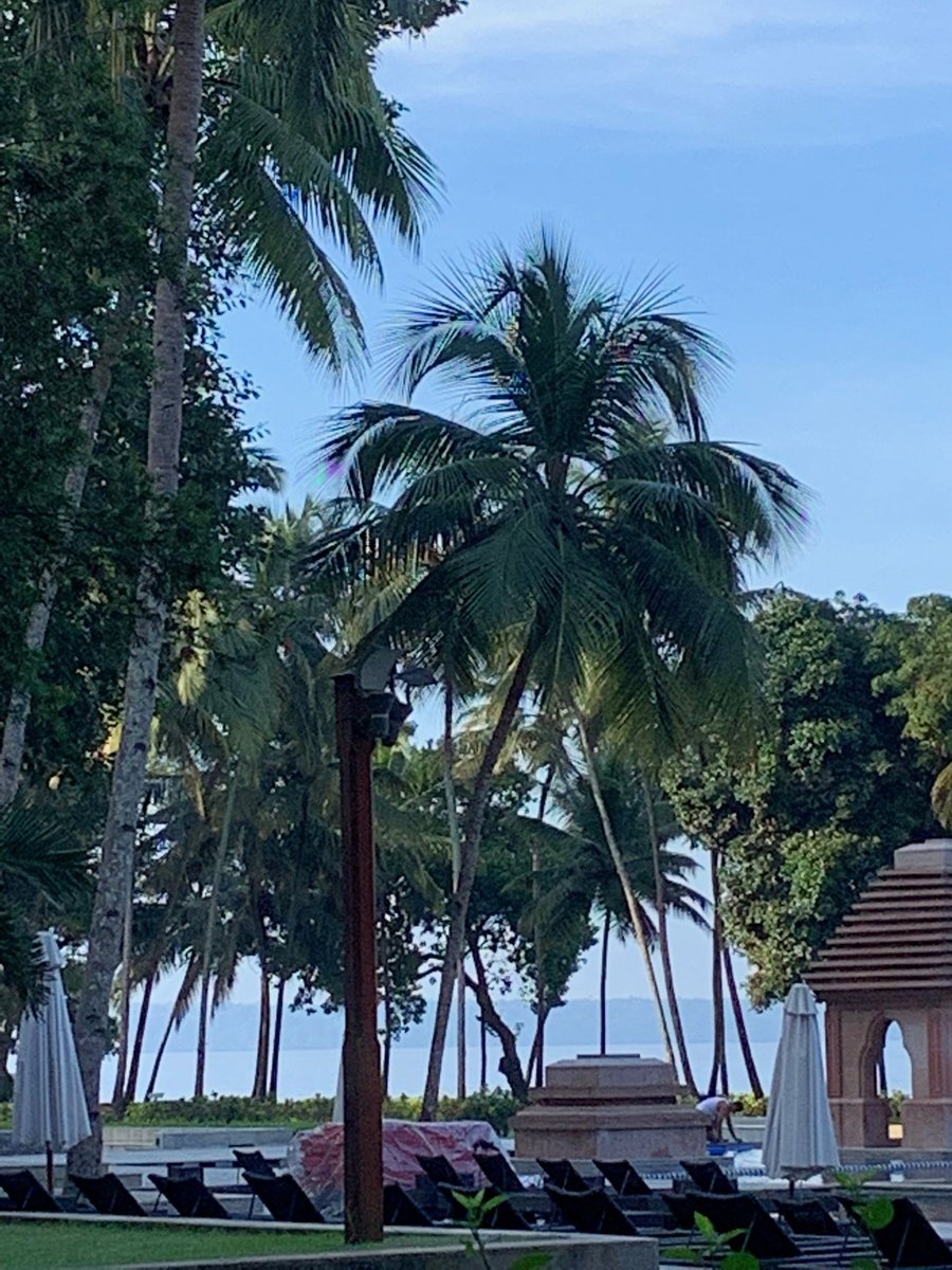 PaarulC's tweet image. Room with a view #FulcrumAwards #PRAXIS8 draws to a close.