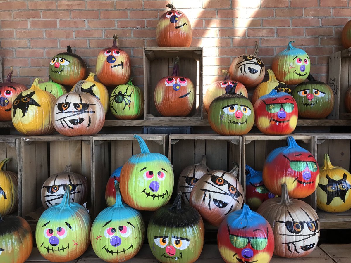 Any solutions???: The way I feel when #instagramdownagain on my #iphone7 for days😩! Any solutions??!!!! #instagramdown #iphone #instagram ☹️ ||PC:<a href="/ToniMuskett/">Antonia Caruso 📷</a> #TONI🇺🇸