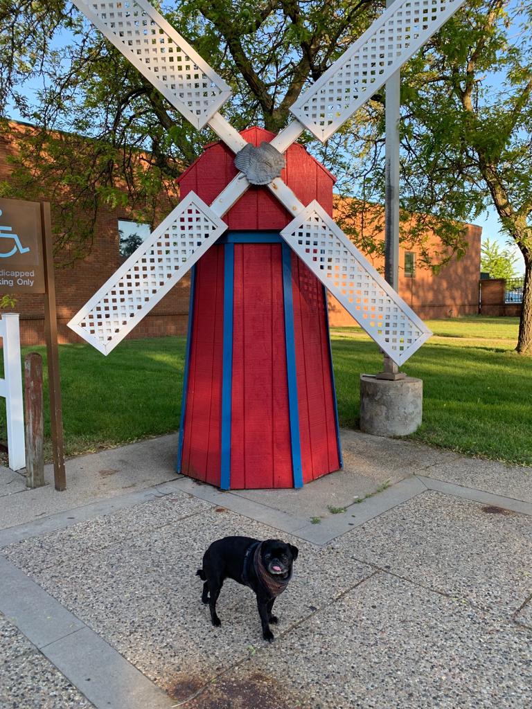 elliptigo's tweet image. Did you know? Gidget is also on the GO. She’s accompanying Bryan on his #CEOonTheGO adventures. We sure miss her at HQ, but we love seeing the cool places she’s visiting. Leave our mascot a message below and we’ll be sure to pass it along. 🐶👋