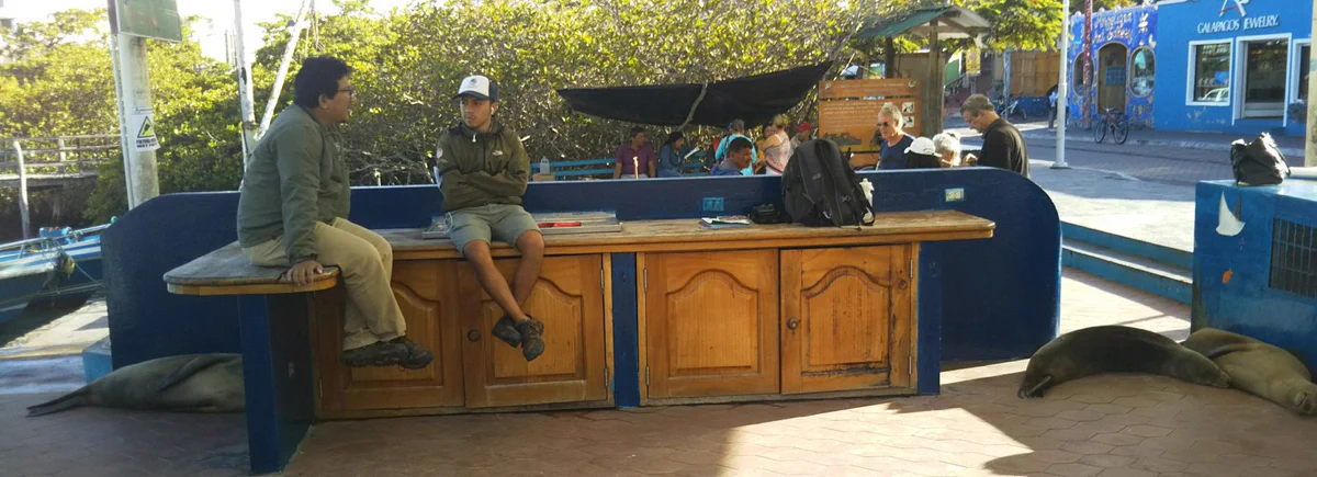 アシカがいるのが当たり前？ガラパゴスの魚市場でアシカが日陰で涼んでるwww