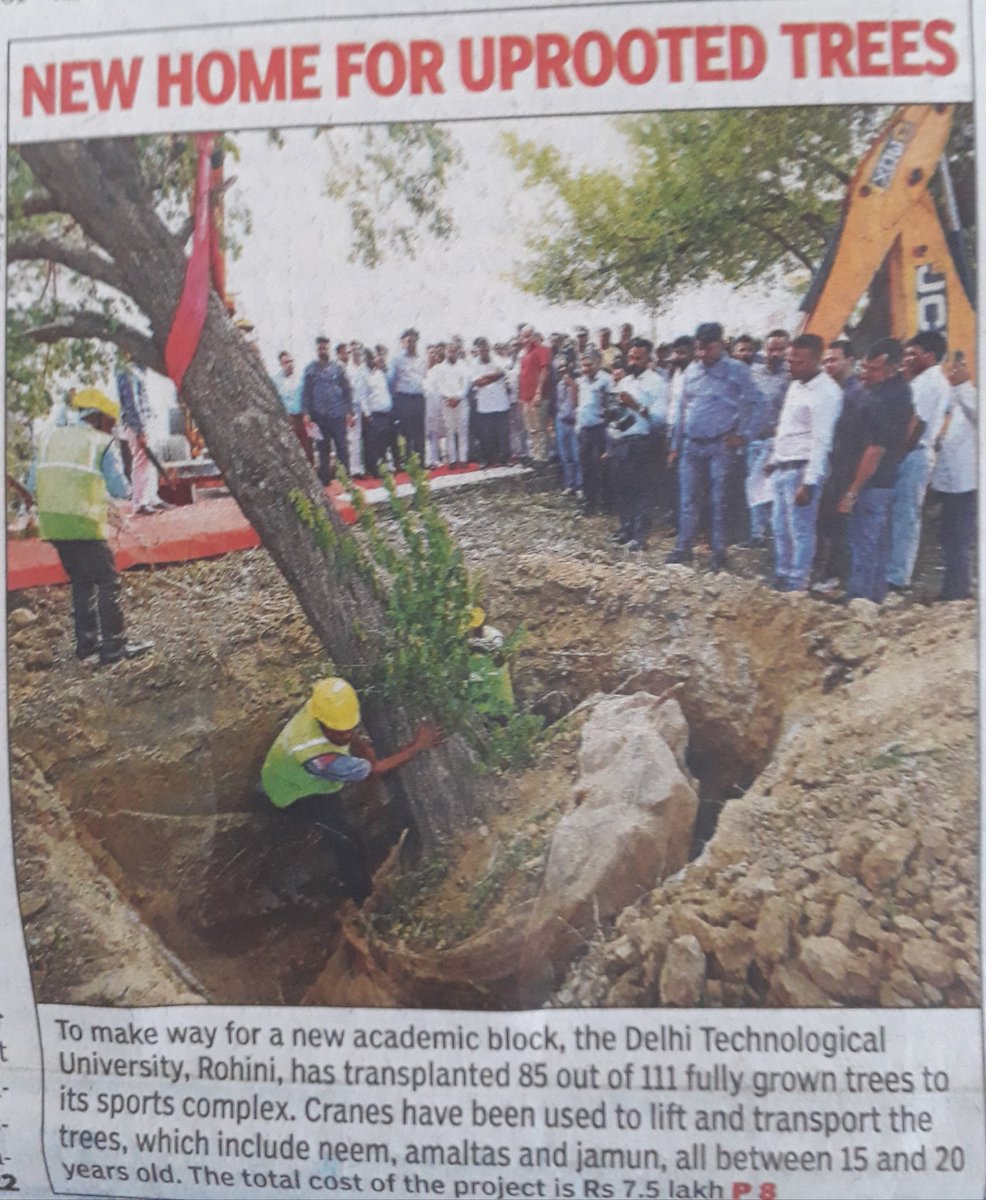 prchandna's tweet image. @CeoNoida This 👇 is the solution for two trees in the middle of Road opposite Metro Station Sec137 #Noida If @noida_authority has the inclination I have been escalating since June to avoid loss of  human life @vishnupsaini @rockme26 @SoulOfNoida @RanjanTomar @PankajSinghBJP