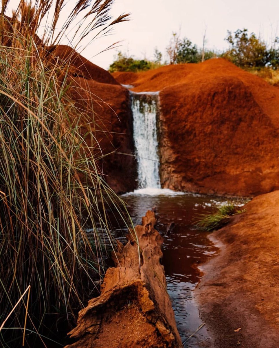 bookdirect's tweet photo. RT @ILoveHawaiiVR: Hiking tip for Waimea Canyon State Park:
“Be sure to bring your hiking boots. Much of Hawaii can be muddy and Waimea Canyon is no different. Jeans are also recommended to protect your legs.”
📸- @northkourt
#WaimeaCanyon #StatePa… https://t.co/6pmEt2xpEr