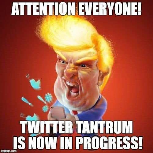 SereneWright's tweet photo. @realDonaldTrump Nothing to see here, just another (ongoing) #Liddle #twittertantrum by #LiddleDonaldTrump 
#MoscowMitchMcTraitor has no intention of signing any of those #gunsafety bills that have been piling up. Just another #QuidProQuo ploy. https://t.co/CMgMXR1uhm