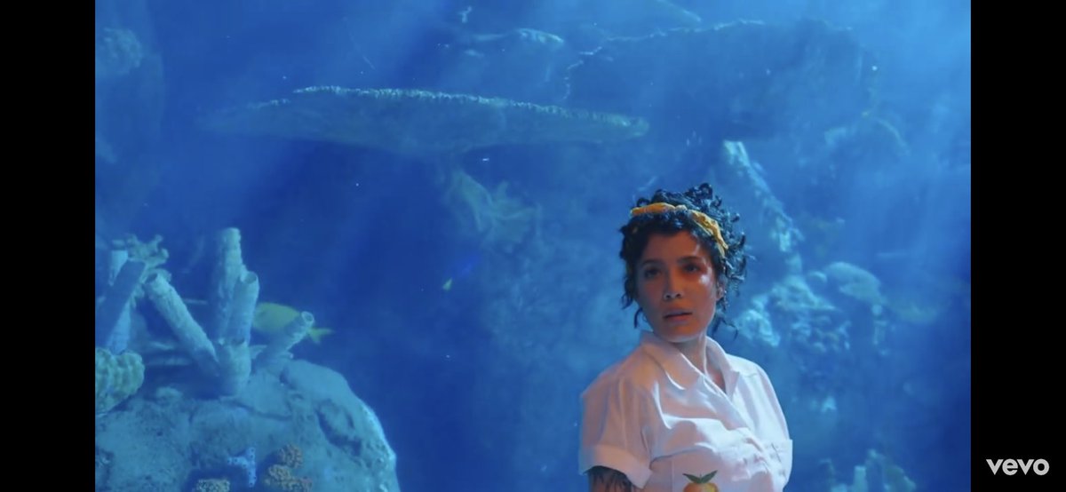 (Halsey Updates)✨ tweet media