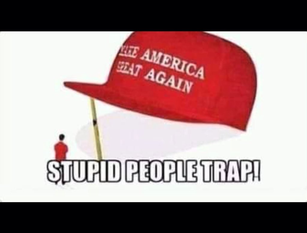 monkeymovie's tweet photo. @CarmineSabia @realDonaldTrump https://t.co/YqaDhURCxo