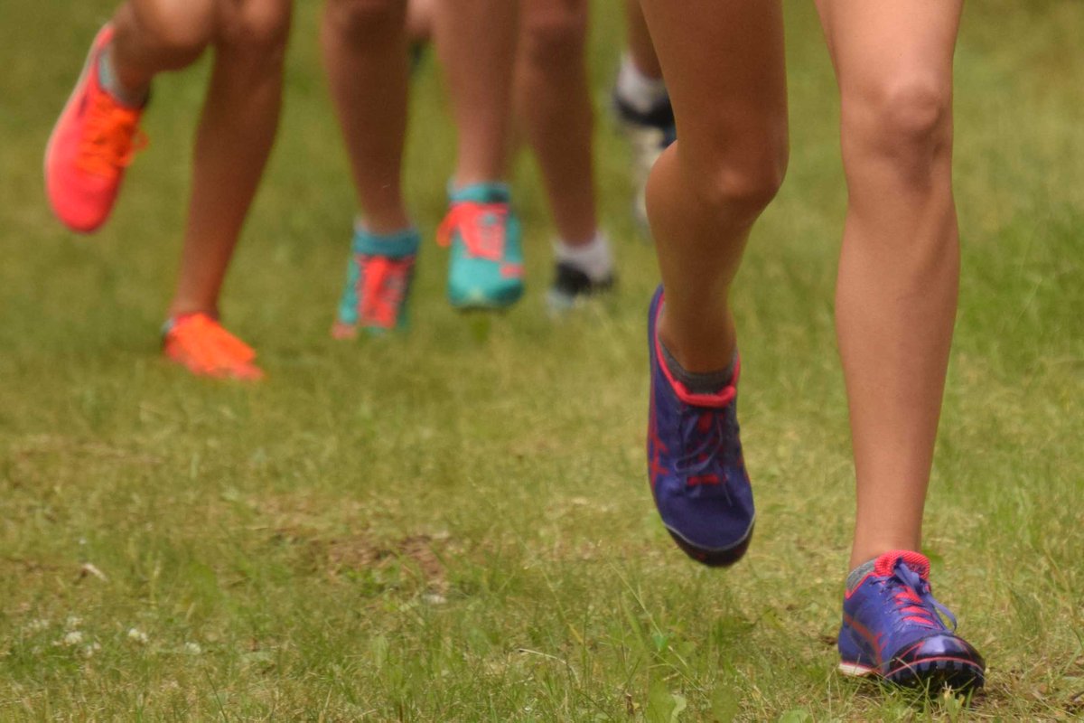 pclarion's tweet photo. SoHi's Arthur, Homer's Daigle win Region III cross-country titles
https://t.co/bZq2xunMHl https://t.co/zaOXwWl5uk
