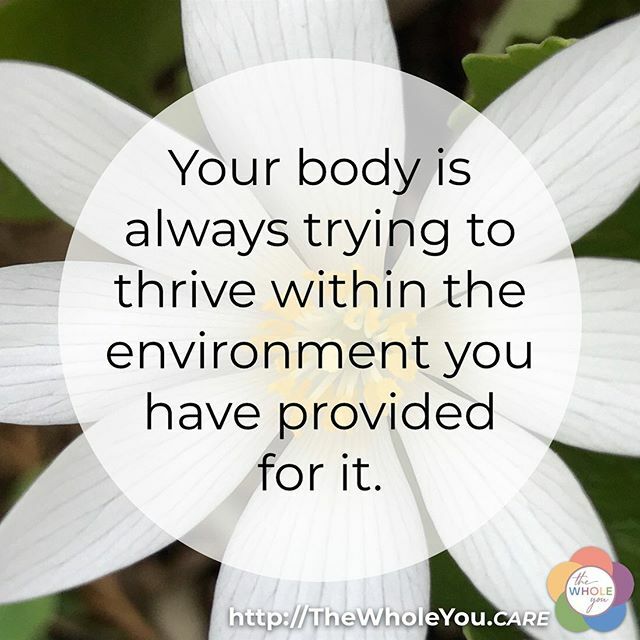 How are you providing for your body today?

#homeschoolnurse #TheWholeYou #transforminghealth #homeschoolmom #wellnesseducation #holistichealth #holistichomeschoolmama #christianholistichealth #momselfcare #weightloss #momlife #healthyfood #healthyliving… ift.tt/2nxywHC