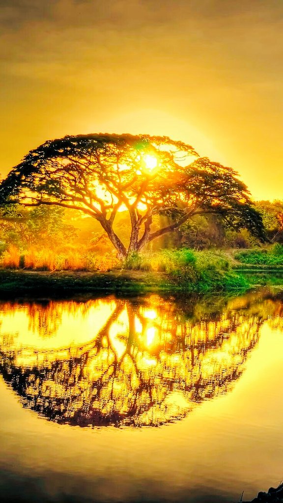 ocilari's tweet image. #easybranches 
#loveislove  
#BeYou 
#BePeace 

🔸 Buds burst
          🔸 Fruits ripen
                    🔸 New seeds

#reflections 
#values 
#dalai_lama 
#NewDAy 

Pic from:
__ @amiha_mu via @HaiydiB __