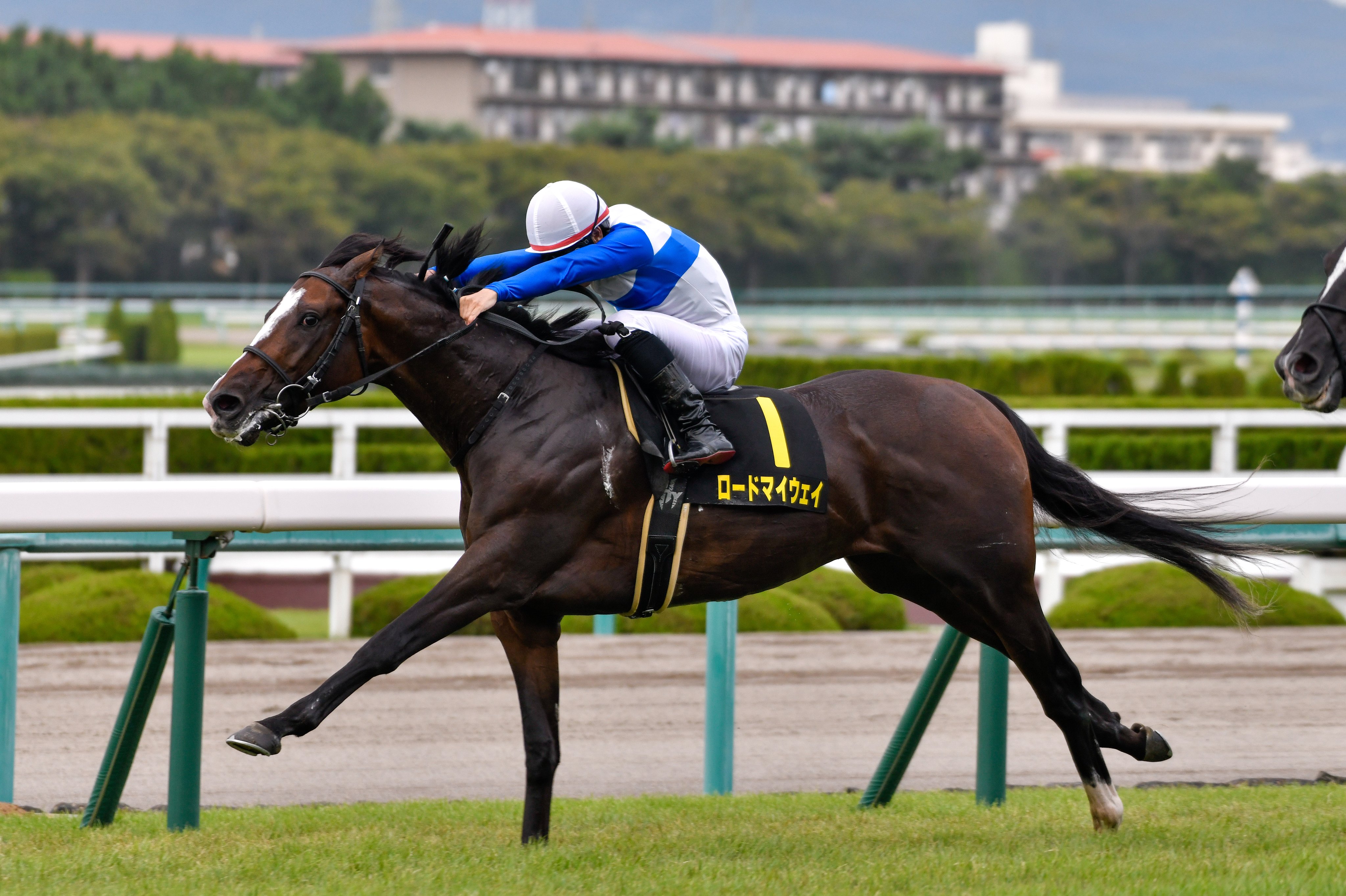Sleep Pa Twitter ロードマイウェイ ジャスタウェイ産駒の真打ち 4連勝ですが先のある馬だと思うので焦らずじっくり進めてほしいですね 走る姿がとてもかっこいい馬です T Co 0av3zmdrty Twitter