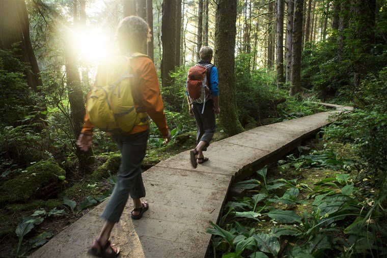 MentalHealth365's tweet photo. "Ecotherapy...On a basic level, it’s about interacting with nature, and how that can improve our physical and mental health." Depression: How Ecotherapy May Help https://t.co/nhV2iBwO2j #MentalHealth365 #Microchange360 #Microchange https://t.co/LvO4M49Ntu