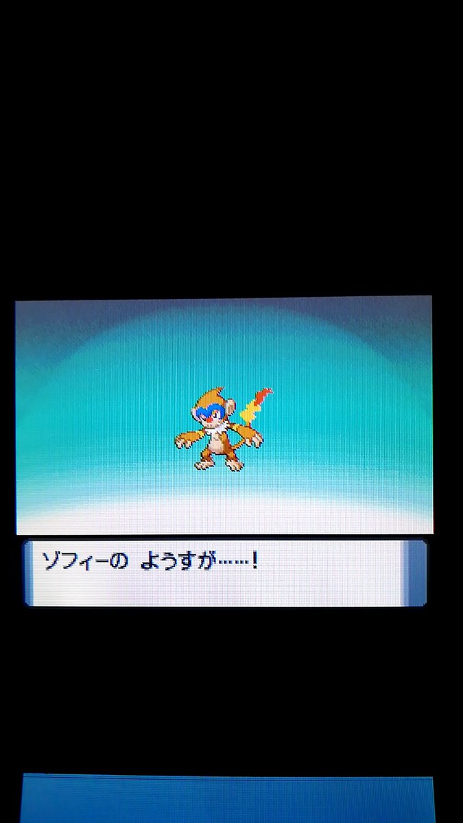 いすゞ三歳 ジャミラ ダイパの初あまいみつでゴンベ一発ツモってちょっと凄い気がする かくとう縛りなのでたべのこしだけ貰ってボックスだけども ポケモンダイヤモンド パール