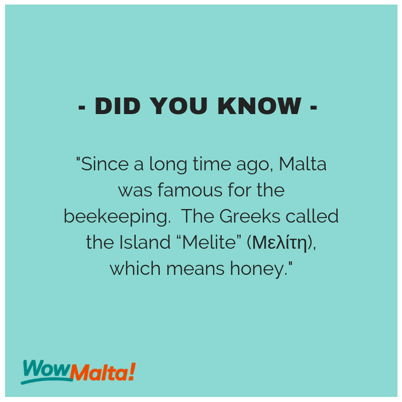 WowMaltaGozo tweet media
