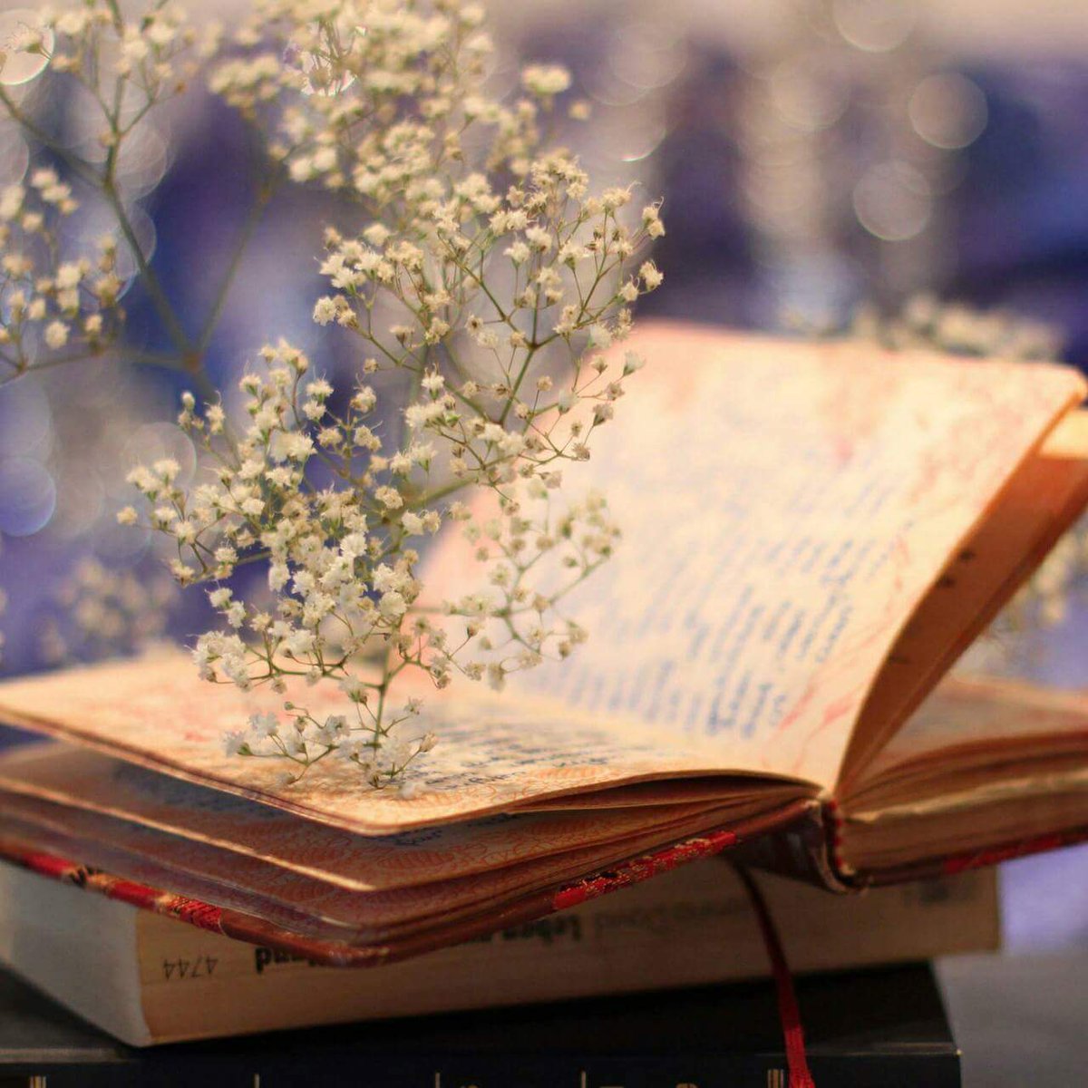 .

.

.

.

التفاصيلُ دائماً لا تُكتب على غلافِ الكتاب .. 📒
وهكذا نحنُ لن نفهمَ البعضَ حتّى نعرفَ التّفاصيل..✨💖

.

.

.

.