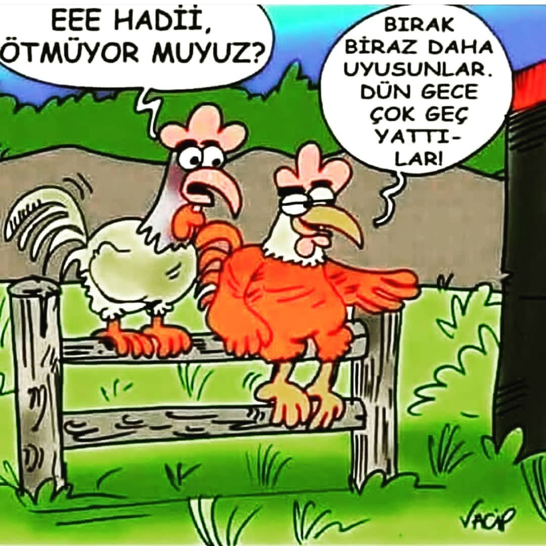 OzcanGuzel66's tweet photo. Dünyanız #mutIu hayaIIeriniz #tatIı oIsun. GönIünüze #huzur doIsun mutIuIukIar ömrünüzce, her şey gönIünüzce oIsun. Günaydın. #Pazar https://t.co/BL6U3doaNJ