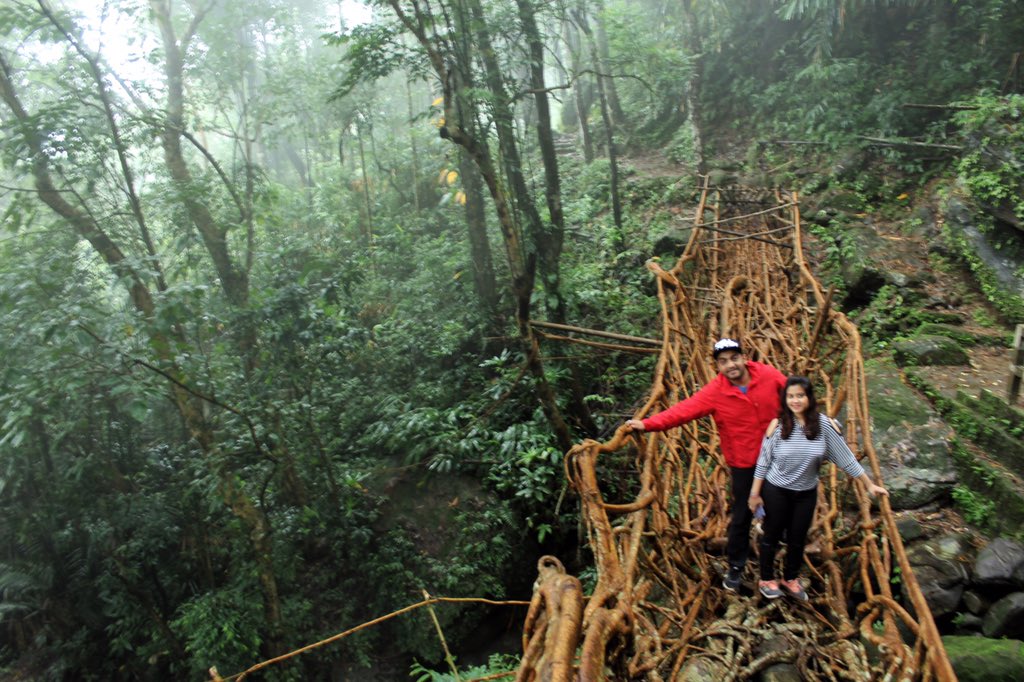  #MeghalayaThreadThe finest example of ancient engineering of Khasi Tribe of Meghalaya is the “Living Root Bridges” of Cherrapunjee. The roots of the trees are arranged and as they grow stronger they serve as bridges to cross streams. Brilliant !! #ମେଘାଳୟଡାଇରି  #MeghalayaDiaries