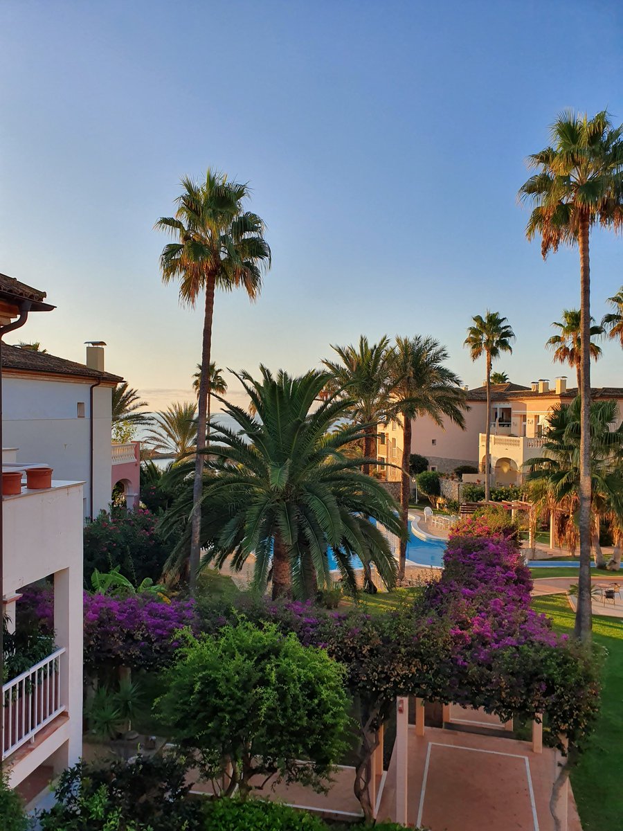 Dennis Wloch tweet media