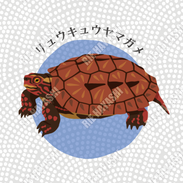 カメさんのイラスト Togetter カメさんのイラスト Togetter