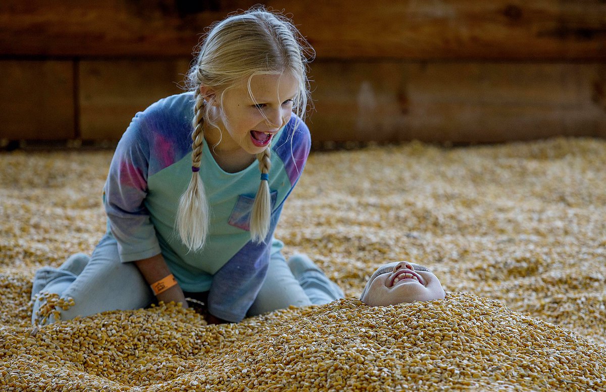 Fotogodterry's tweet photo. Layla Marshall, 9, laughs with her brother Bodhi Marshall, 7, both of Hesperia after burying him in corn in the Corn Box at Live Oak Canyon Pumpkin Farm in Redlands on Saturday, Sep 28, 2019. (Photo by Terry Pierson, The Press-Enterprise/SCNG) https://t.co/IJRjgbUQzt