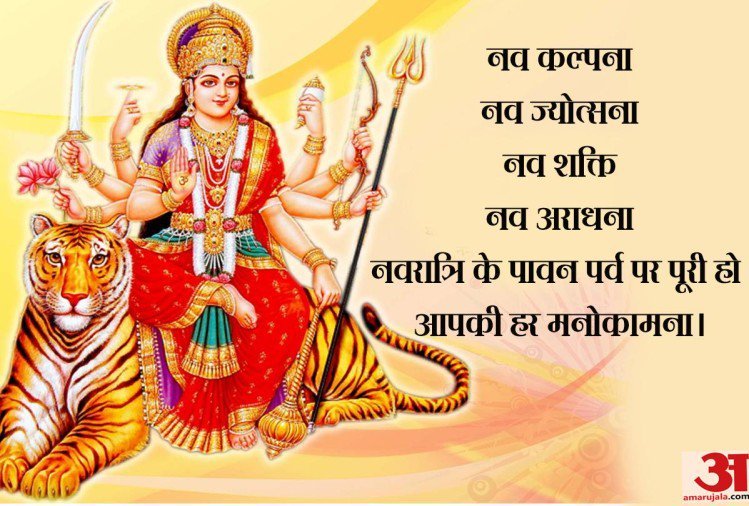 Dr.Richa Jogi tweet media